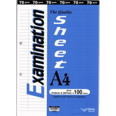 Flying Wheel Examination Sheet A4-100's FW7005-100 (1x10)