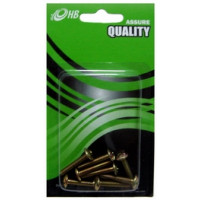 SCREW TH +- M4 x 22 (1x20)
